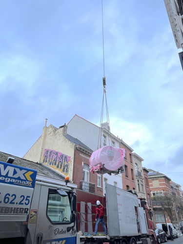 Installation nouveau IRM chez AniCura Vetimacs