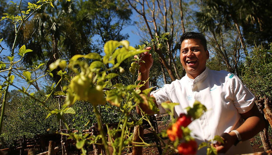 Chablé Hotels_Sustentabilidad