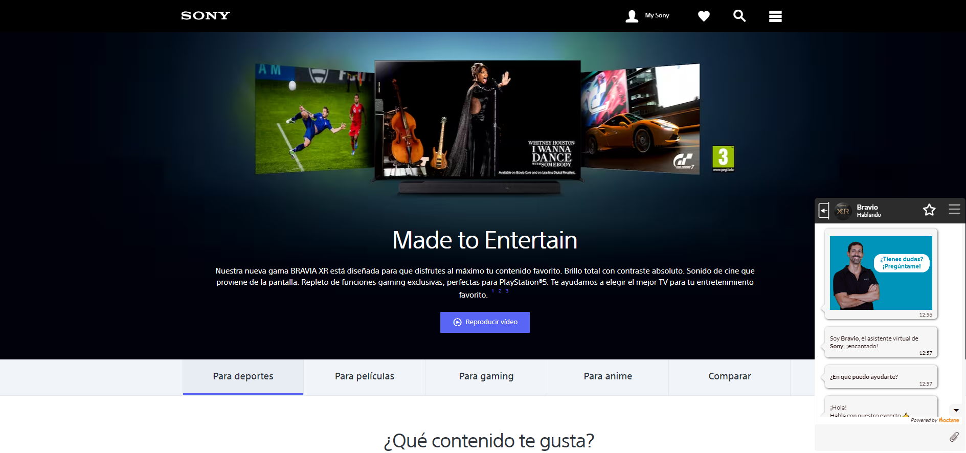 Asistente virtual en la web de Sony