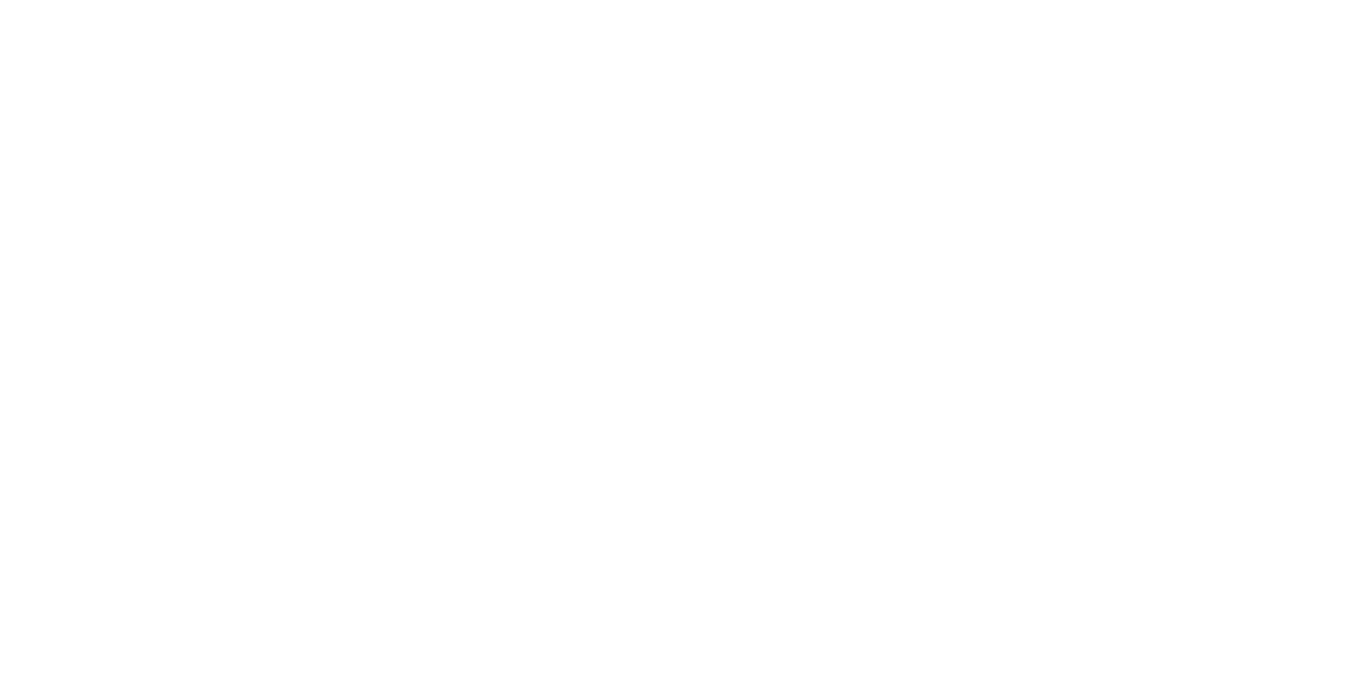 Creation Logo weiß mit MSI quer