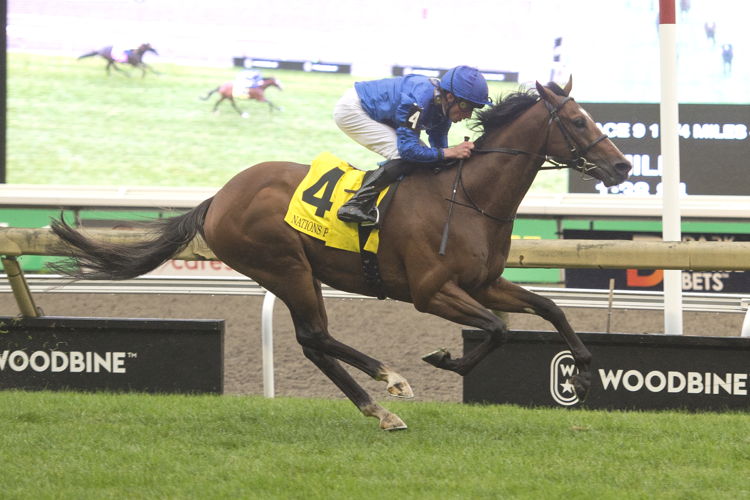 Nations Pride (IRE) and jockey William Buick winning the 2023 Canadian International at Woodbine (Michael Burns Photo)