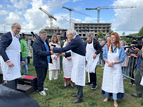 ©IOBZ SW_Wij zijn de Walvis - Kortrijk 2025 ©IOBZ SW_Wij zijn de Walvis - Kortrijk 2025