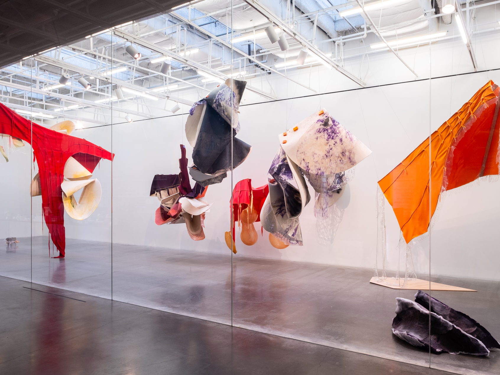 Z33 presents exhibition programme 2024