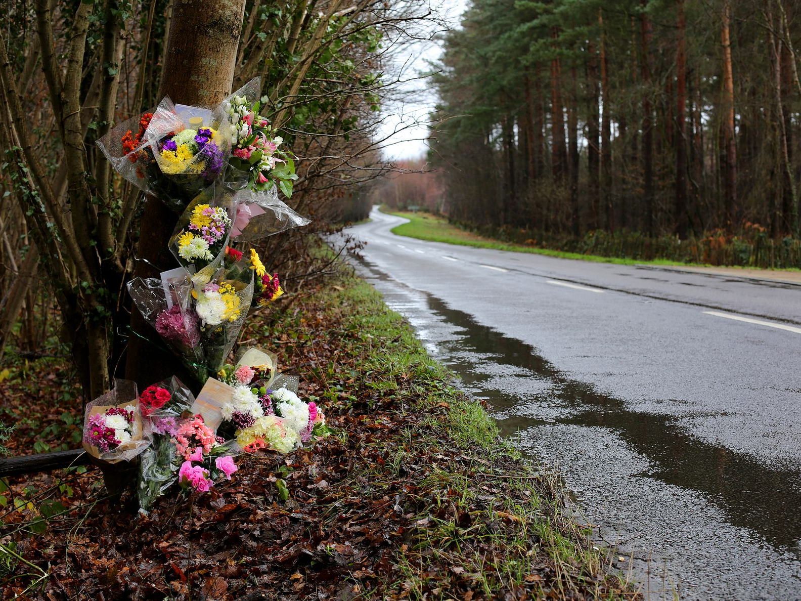 Drink-driving casualty figures released today - RAC reaction