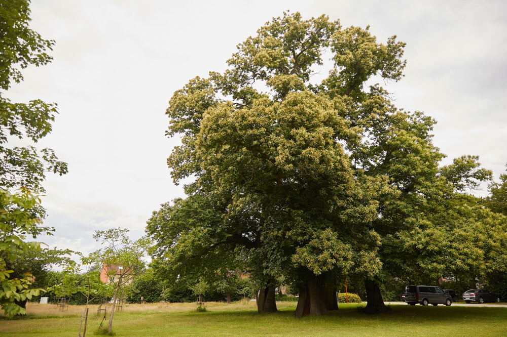 Park De Bron (c) Tim Buelens