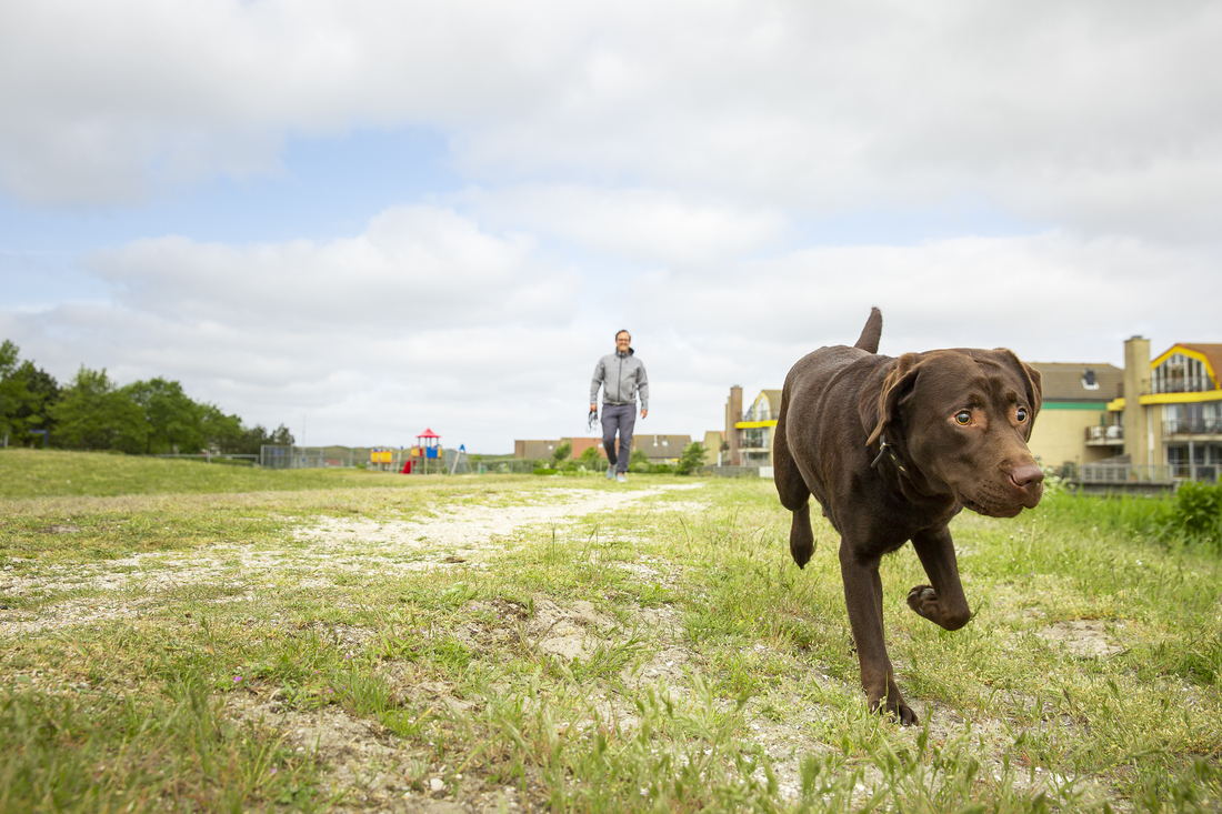 Landal Ooghduyne met hond