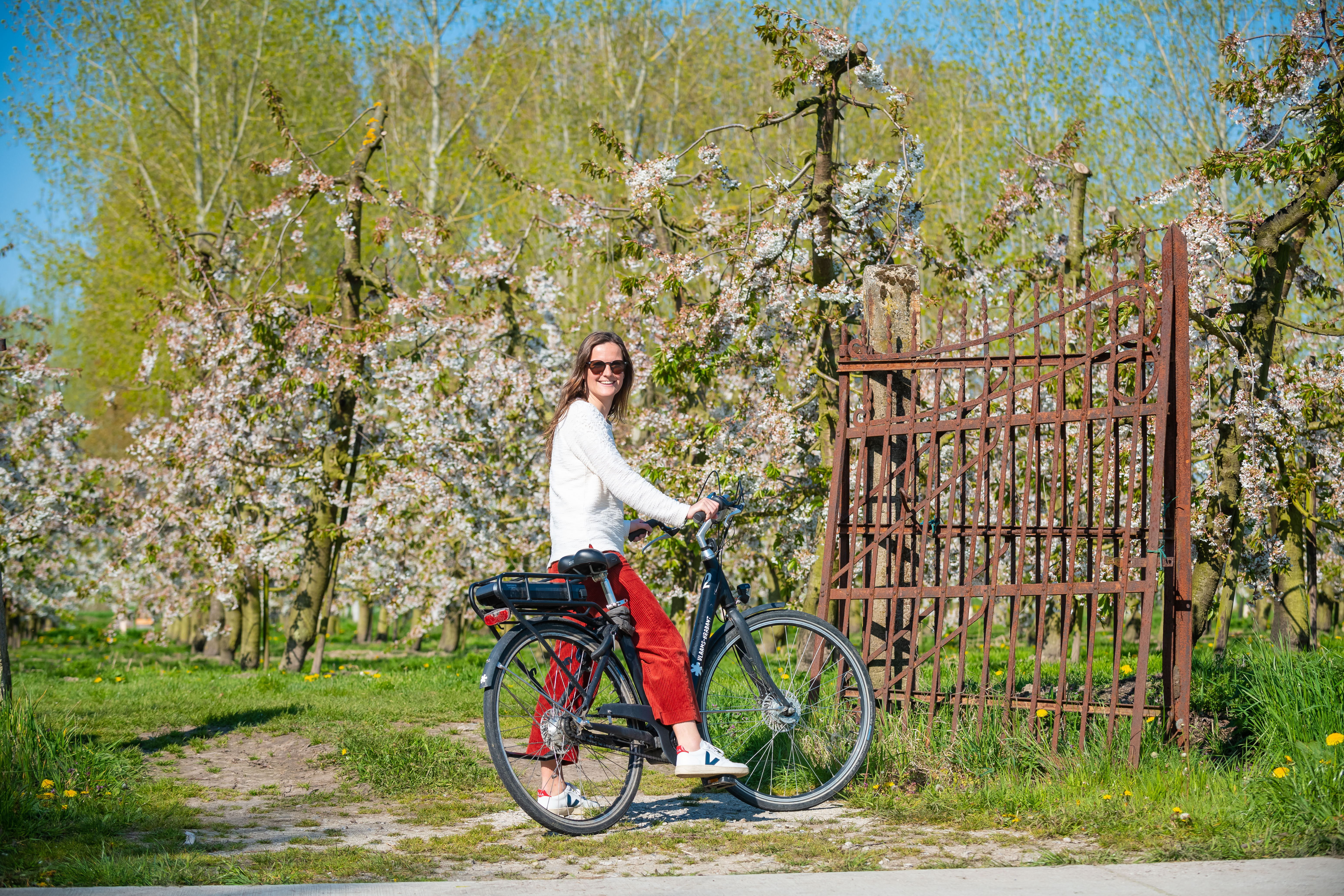 Zeven fietsroutes, gebundeld in één publicatie, brengen de deelnemers langs de mooiste bloesemlandschappen (copyright: Bert Dekelver)