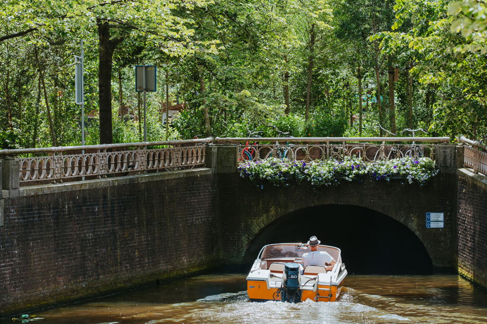 Bosk (c) Ruben van Vliet