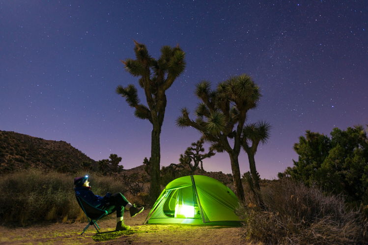 Joshua Tree National Park, California.