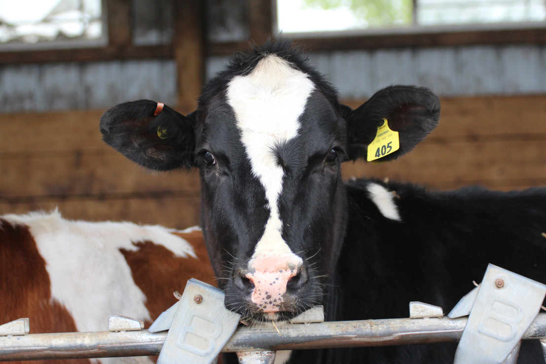 Insight FS Celebrates Farmers with $10,000 Donation to Wisconsin Dairy Recovery Program