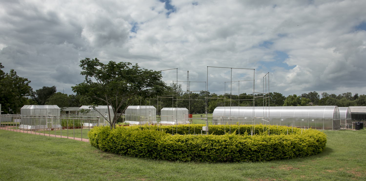 DST supported Climate Change Research Facility at ICRISAT.