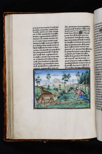 Henri de Ferrières, Les Livres du roy Modus et de la royne Ratio. Brussel, 1450-1467. ms. 10218-19, fol. 46v Ⓒ KBR