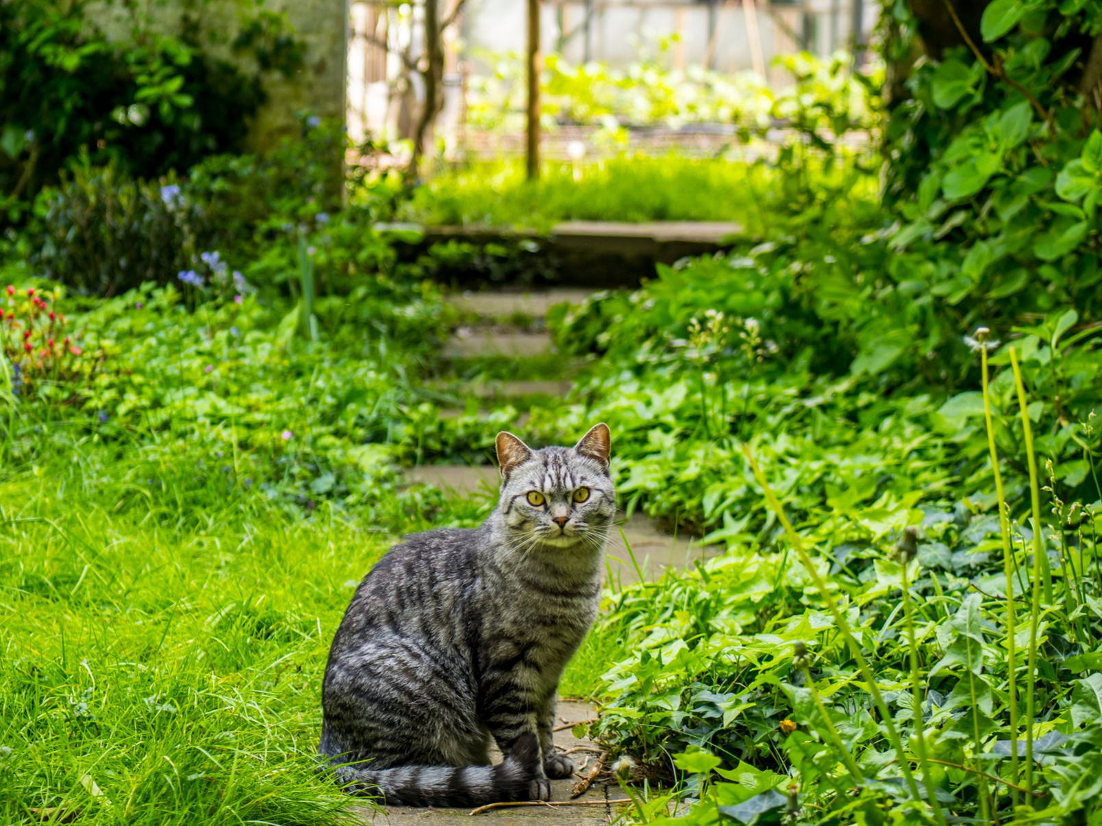 Nieuw najaarsevent helpt bewoners hun stadstuin te vergroenen 