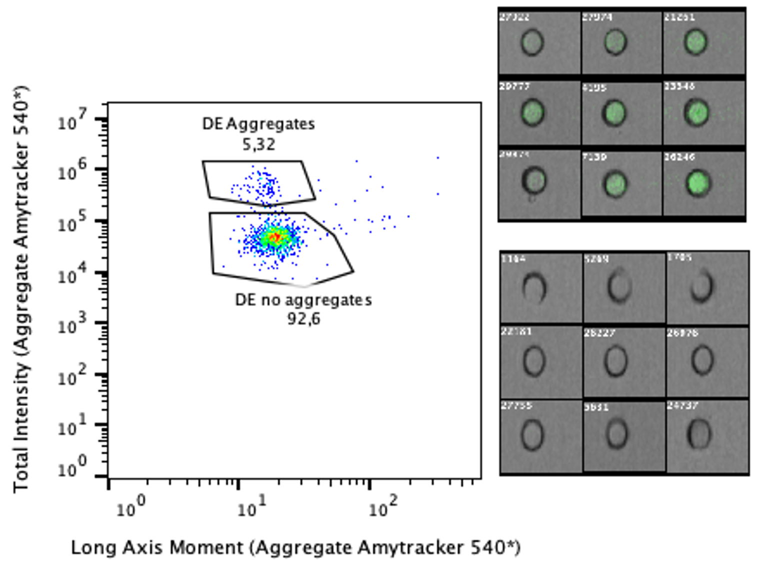 Quantification of the amount of droplets that contain protein aggregates through FACS. The data was recorded with BD FACSDiscoverTM S8 Cell Sorter and analyzed using FlowJo.