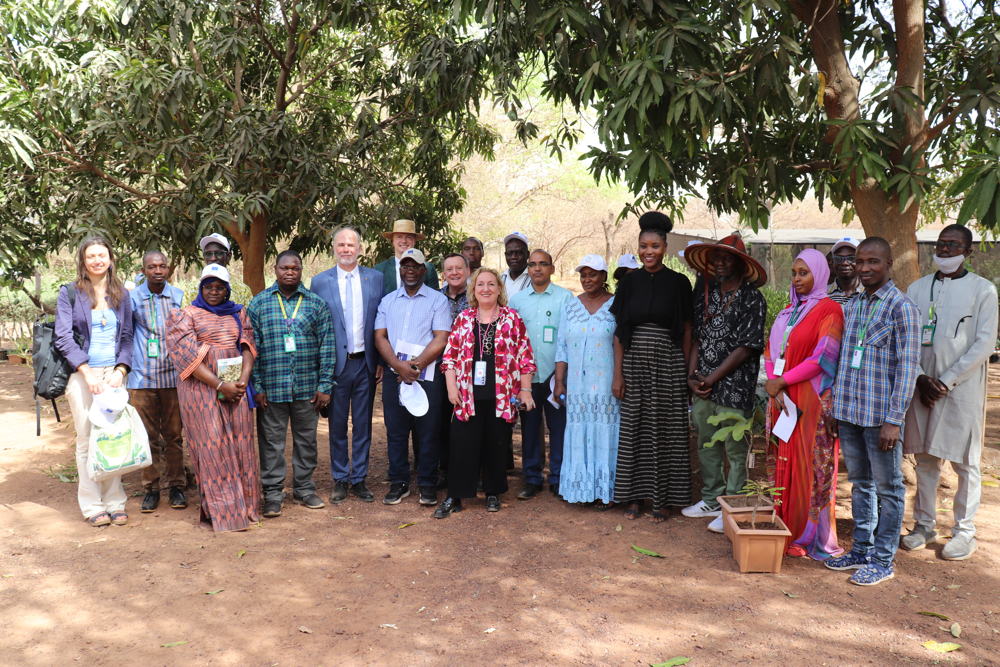 Group photo of the visitors of EU and hosts from ICRISAT-Mali