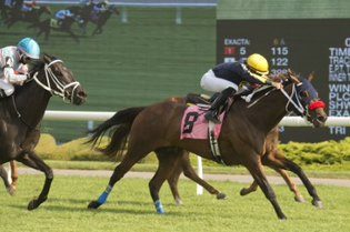 Dancing Doll winning at Woodbine on August 6, 2021 for trainer Bill Tharrenos. (Michael Burns Photo)