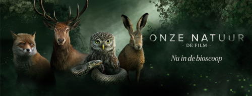 Preview: Onze Natuur, De Film nummer 1 in Vlaamse box office
