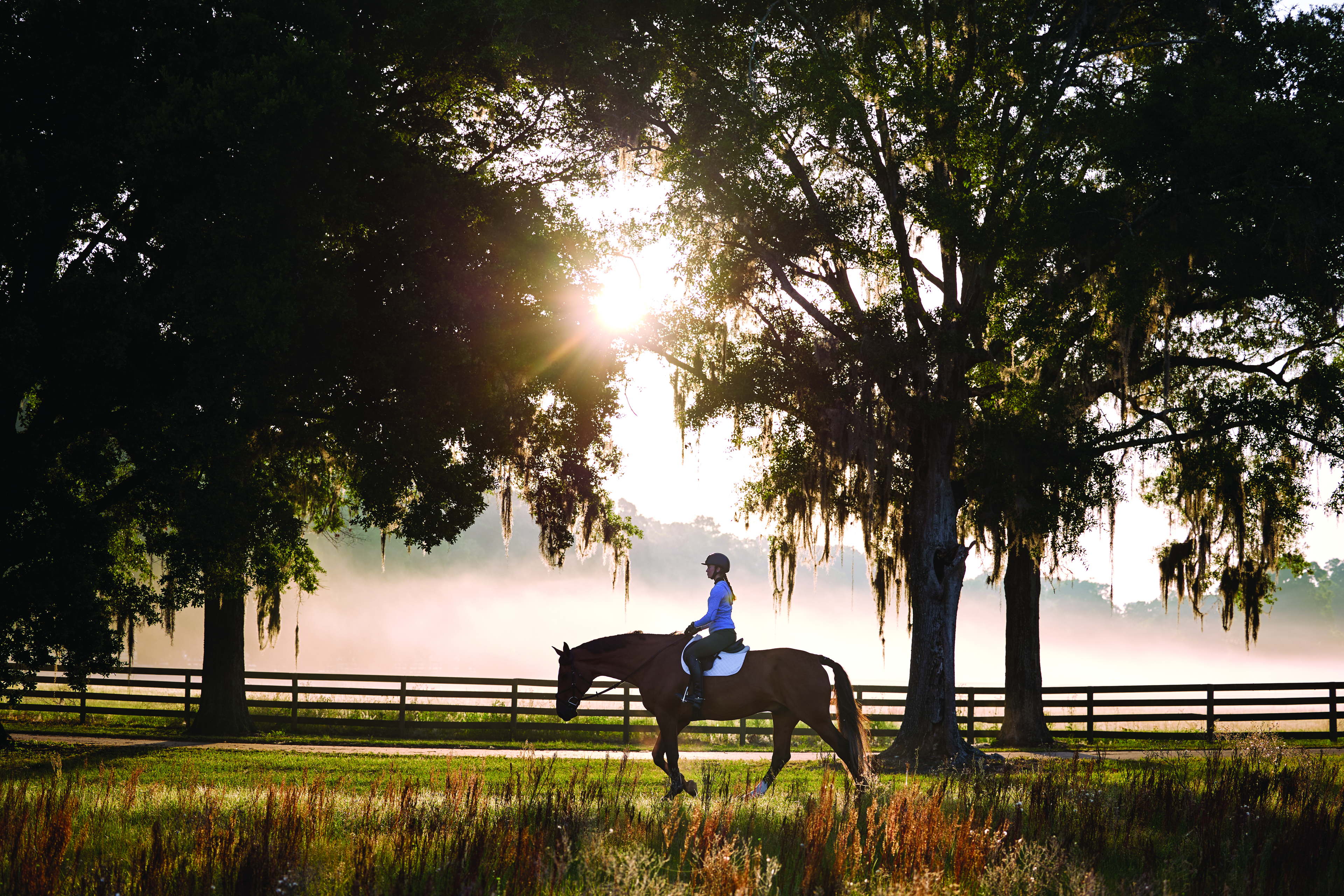 Garmin introduceert het Blaze-wellnesssysteem voor paarden