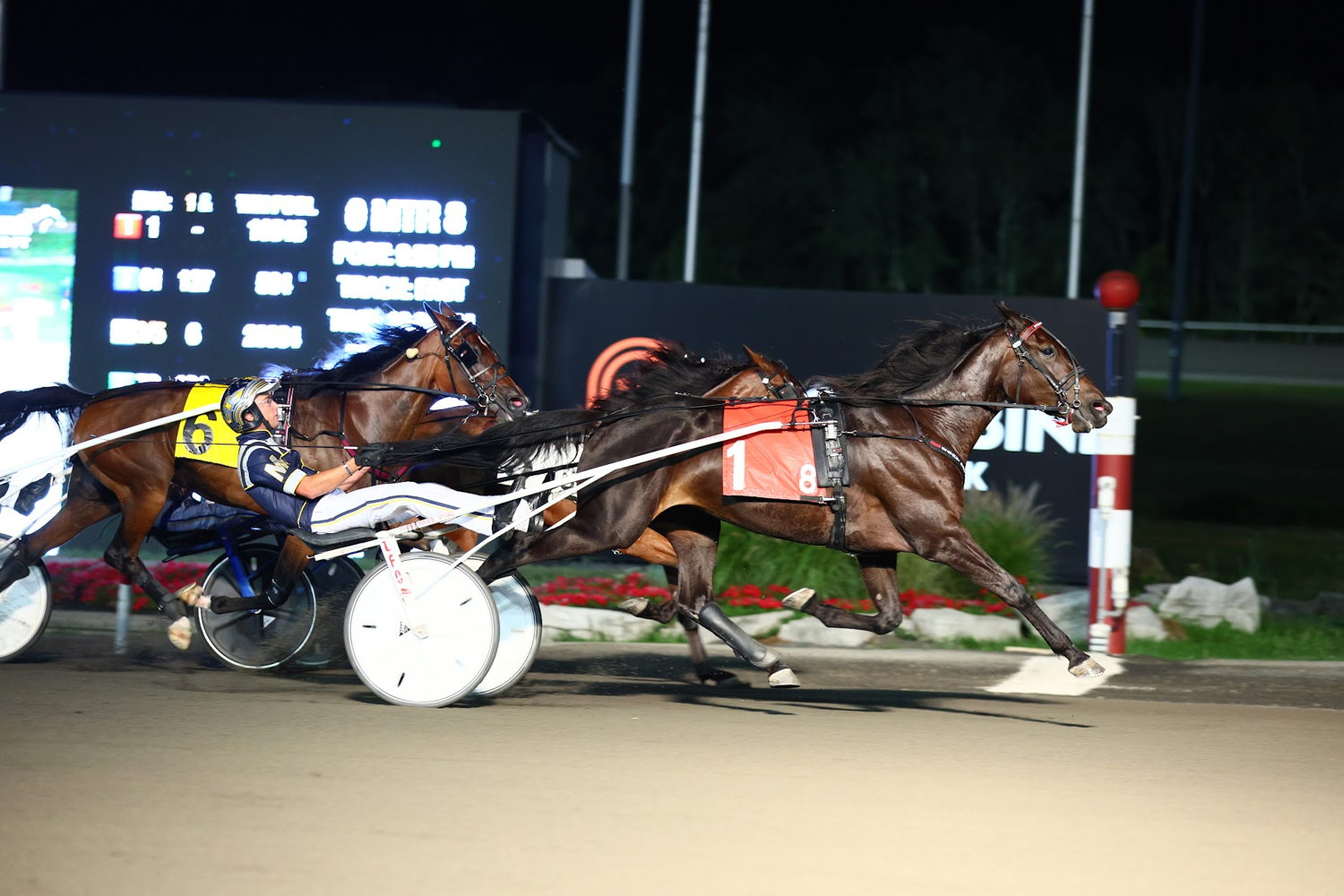 Warrawee Xenia winning a division of the Simcoe. (New Image Media)