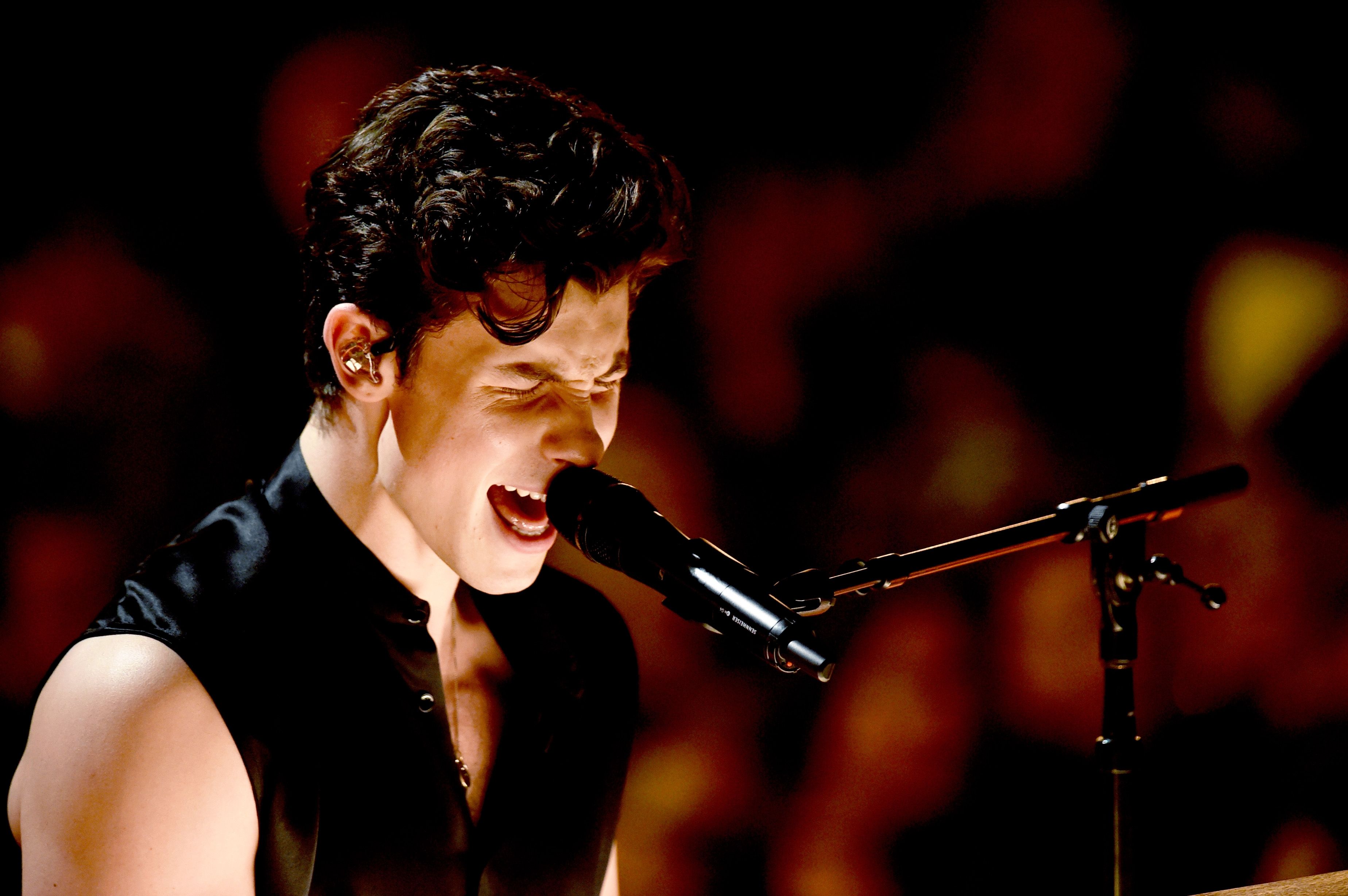 Shawn Mendes bei den 61. Grammy Awards in Los Angeles ​
(Bildnachweis: Getty Images, Kevin Winter)