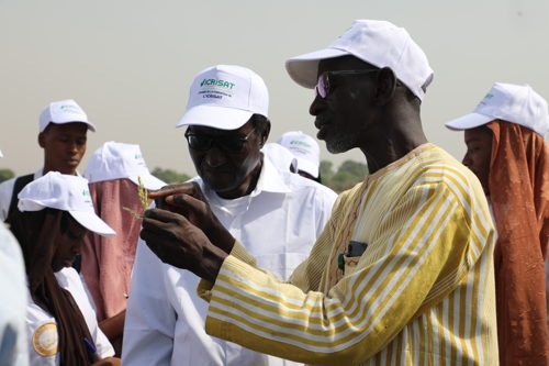 During the visit to sorghum improvement field