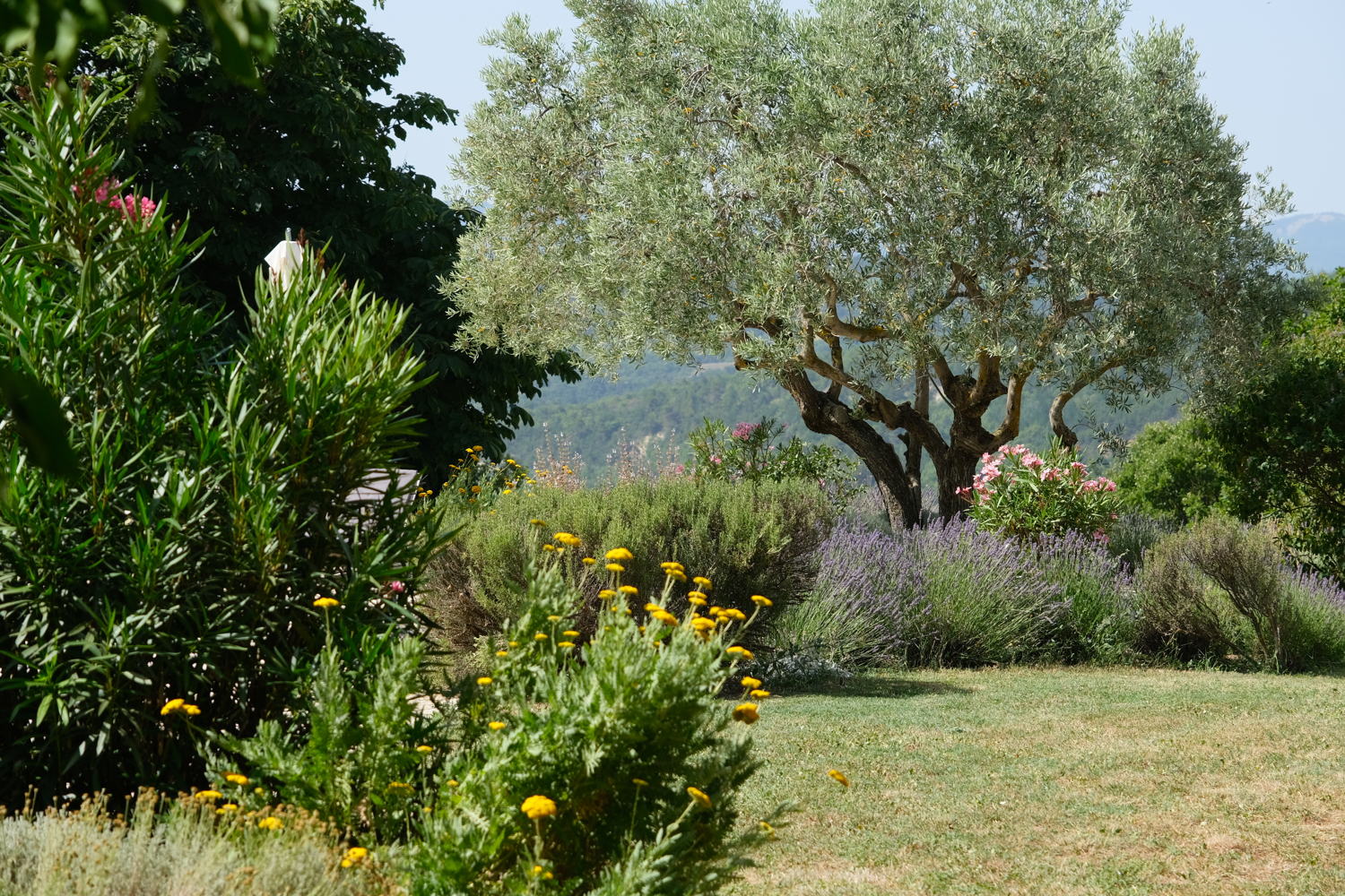 Les Hameaux des Davids; photocredit : Micha Pycke 