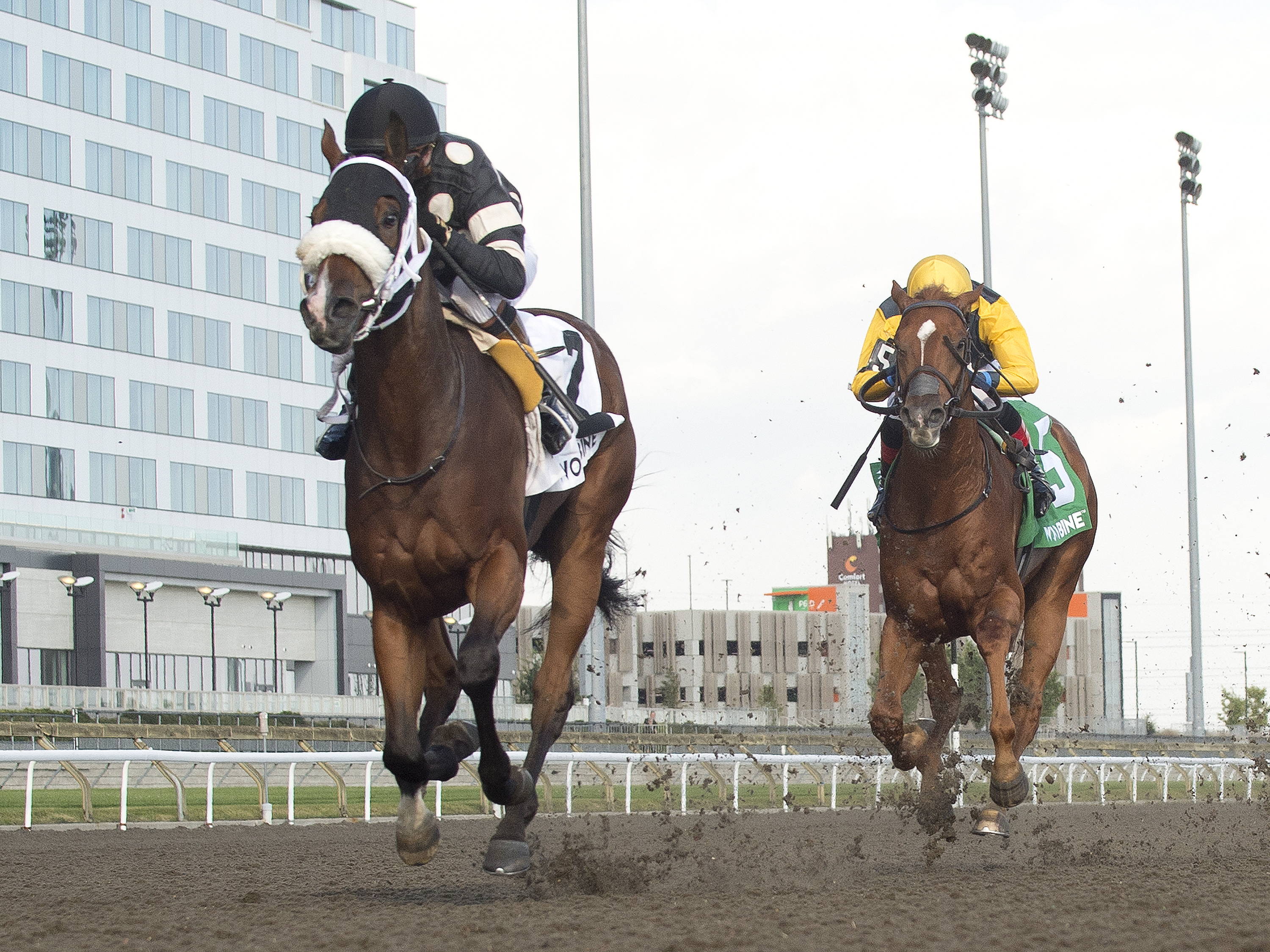 Souper Diva delivers again, this time in Victorian Queen / Golden moment: Silver Is Best is best in Bull Page 