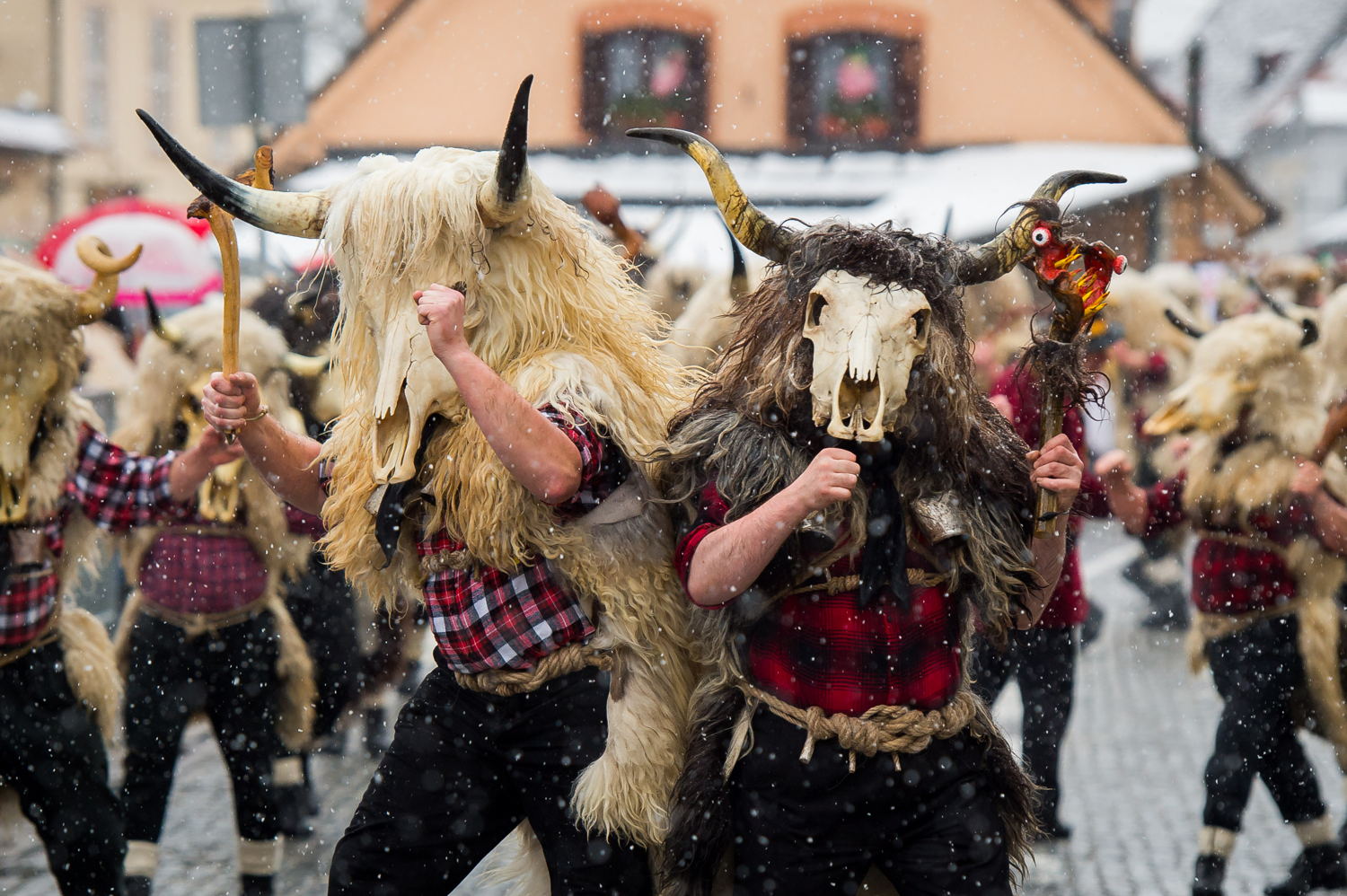 © Edin Tuzlak - Samobor TB