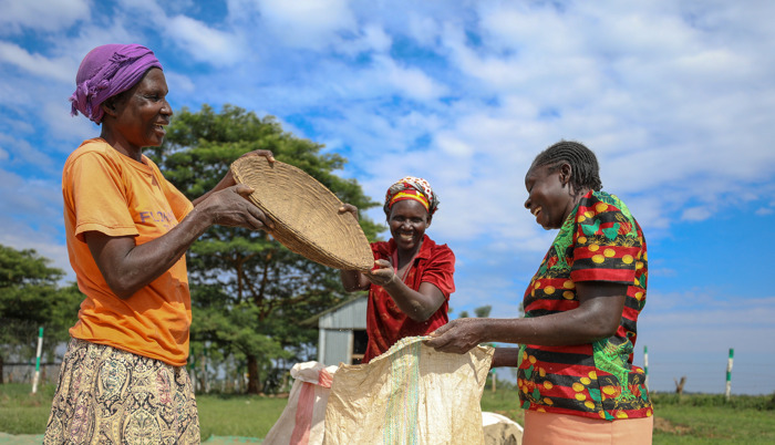Preview: ICRISAT adds its voice to the Africa Climate Action Summit-2023