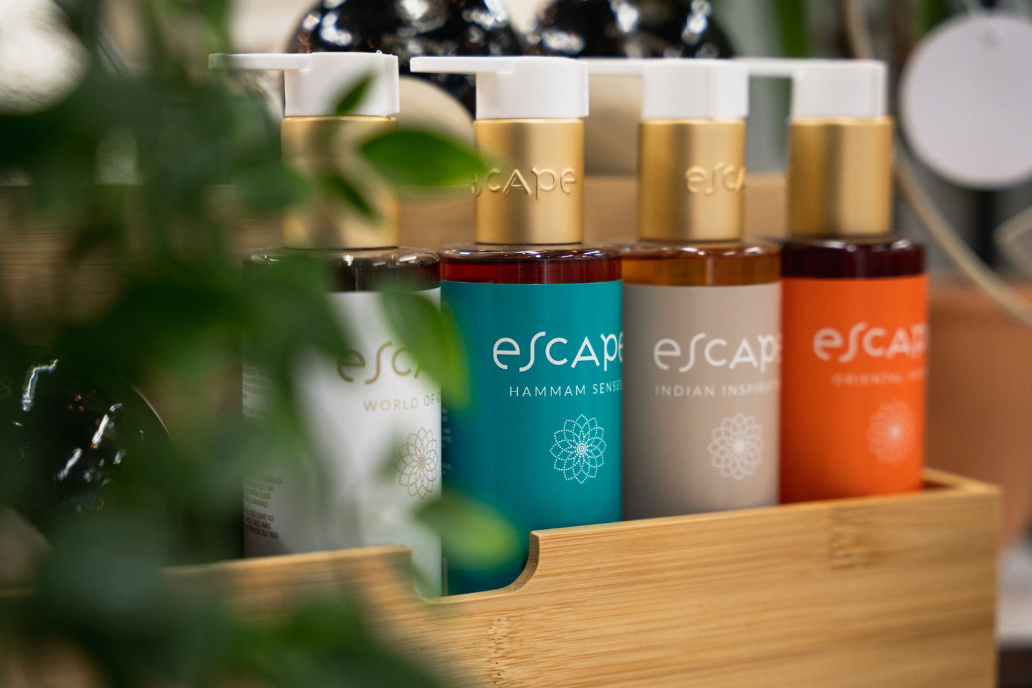 Casa Escape Collection