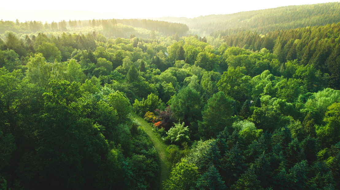 Cathay Pacific Cargo lance « Fly Greener », le programme de compensation carbone destiné au fret aérien