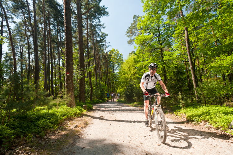 Mountainbiker in het Kalmit (Paltswoud) (c) Dominik Ketz