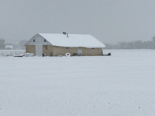 PHOTOS AND VIDEO: Rocky Ford Growers Association farmers survey snow-covered fields