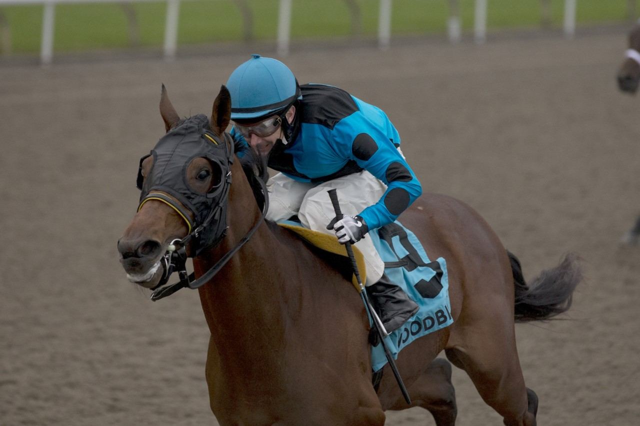 The Minkster, under David Moran, continues to impress capturing the 118th running of the Coronation Futurity at Woodbine. (Michael Burns Photo)