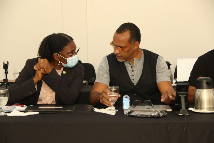 Jacqueline Emmanuel Flood, Director of the Economic Affairs and Regional Integration Division at the OECS Commission listening intently to contributions from stakeholders.