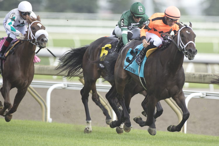 Mohawk Trail and jockey Adam Beschizza winning the Ontario Colleen Stakes on July 22, 2023 at Woodbine (Michael Burns Photo)