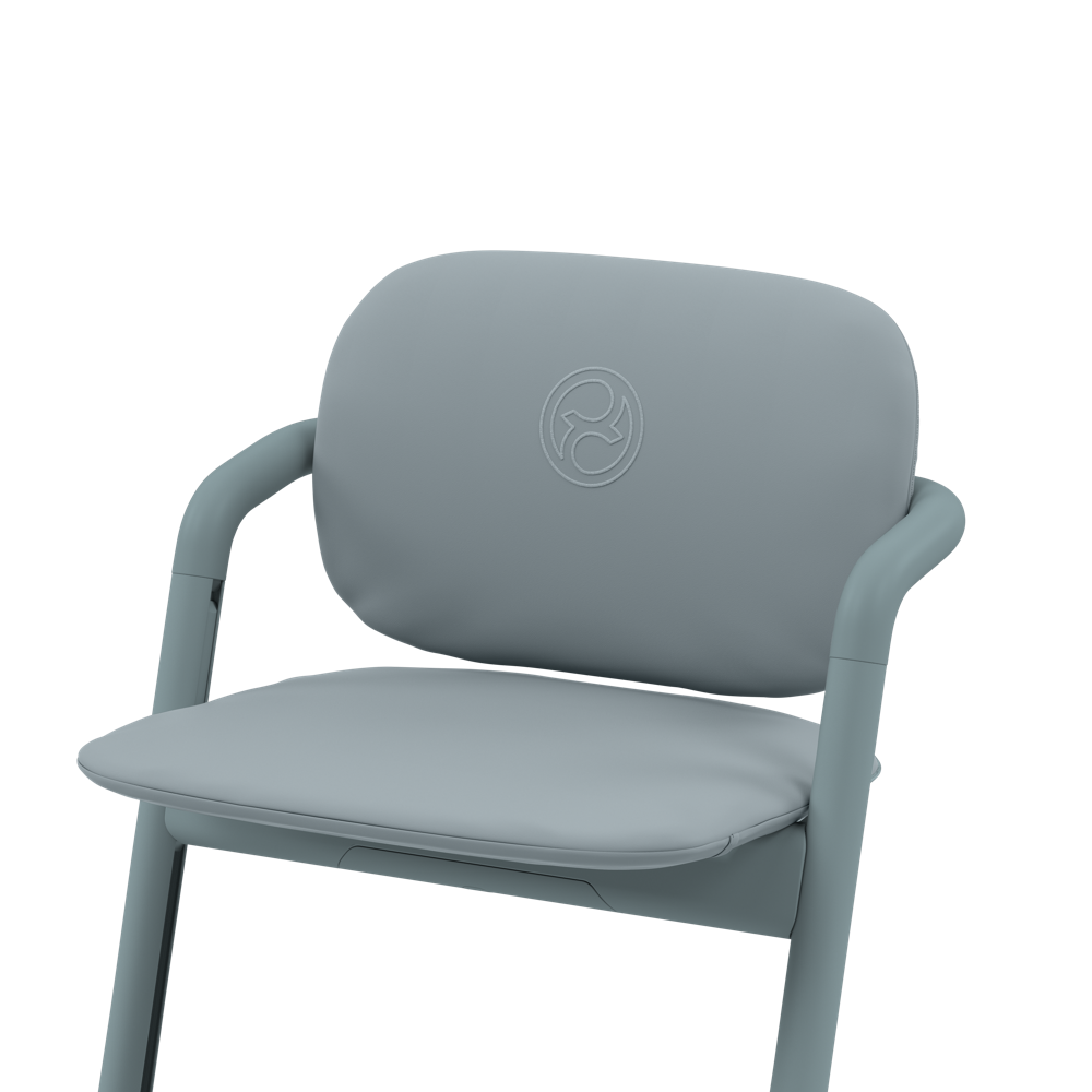 CYB_21_INT_y045_Lemo_Chair_Backrest_Seat_Cushion_SOBL