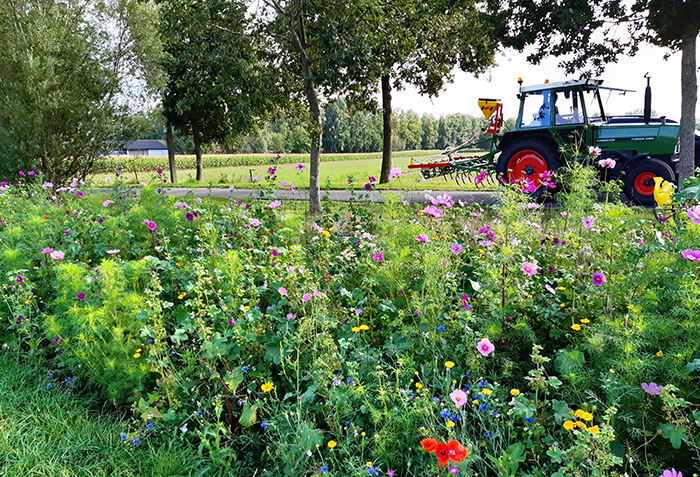 Provincie lanceert jaarlijkse groepsaankoop plantgoed voor land- en tuinbouwers en imkers