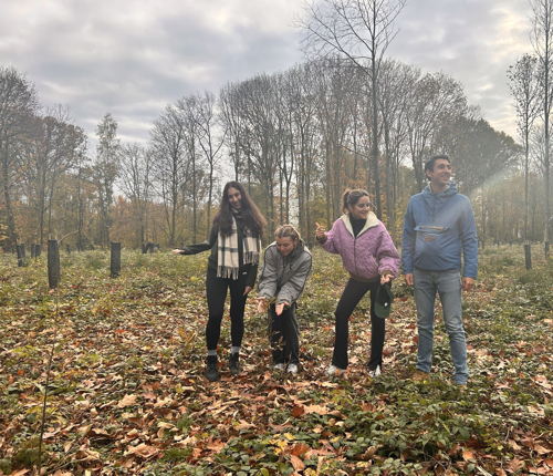 Team Go Forest