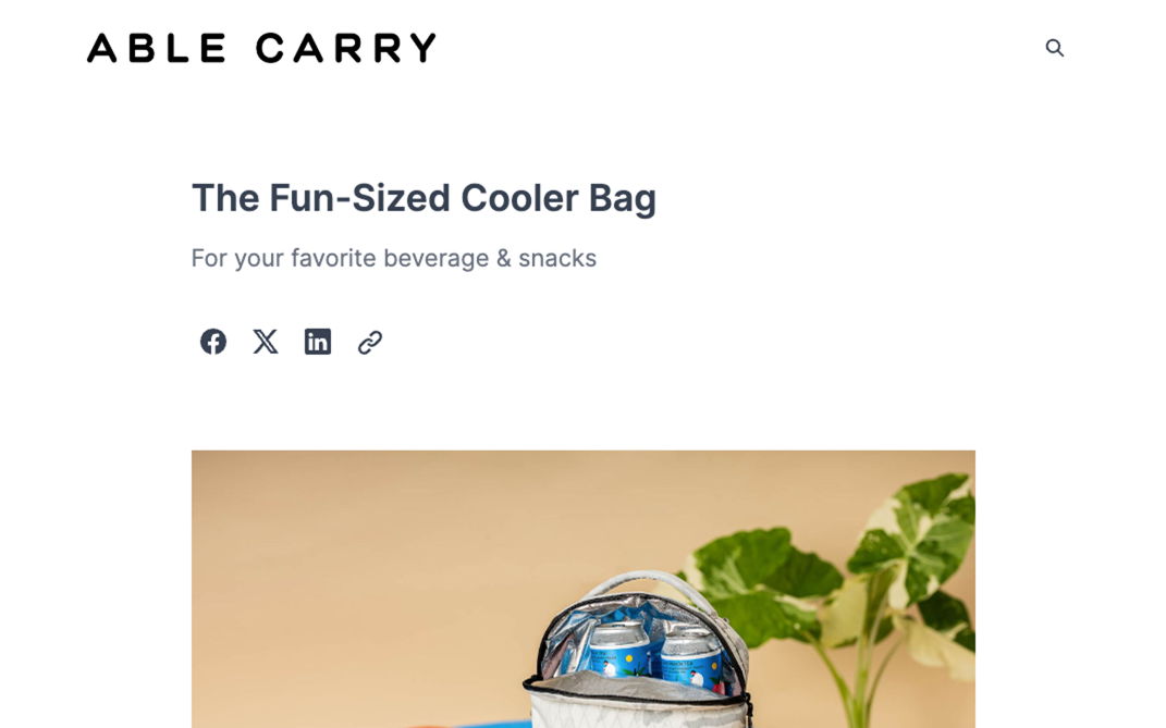 Able Carry's new fun-sized cooler launch