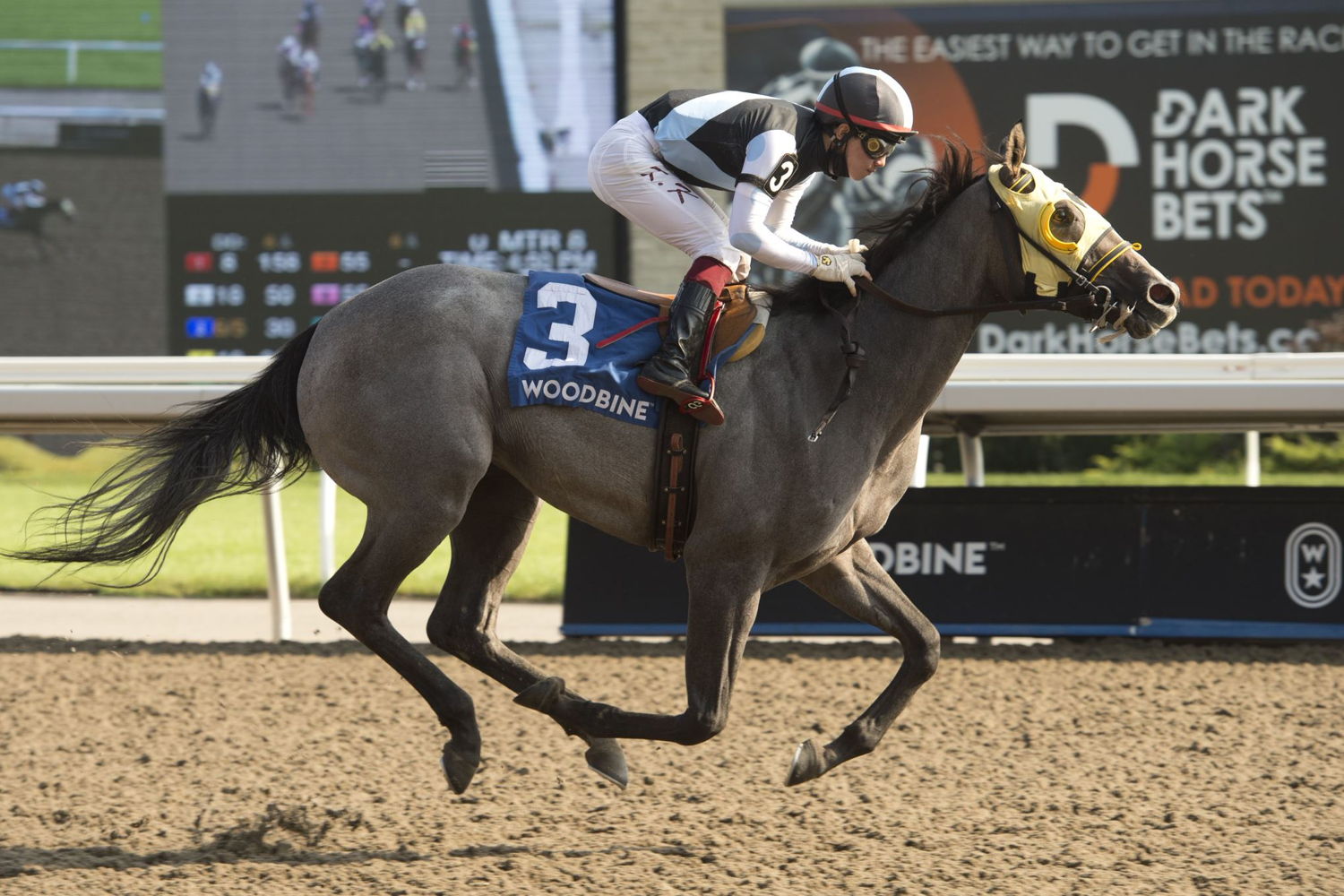 Baksheesh and jockey Kazushi Kimura winning the Muskoka Stakes on August 29 2021. (Michael Burns Photo)