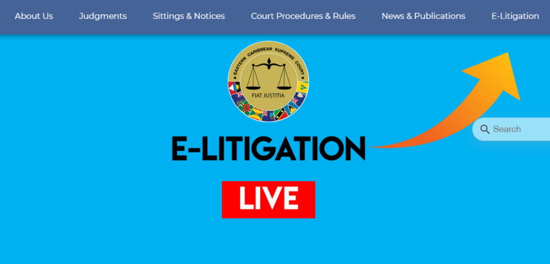 Technology and Law: e-Litigation Portal Update