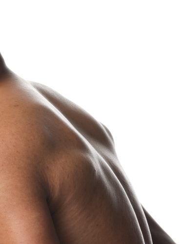 2024-03-12-ORD-BodyCare-Human-BodyScape-NoProduct-Y-02 2024-03-12-ORD-BodyCare-Human-BodyScape-NoProduct-Y-02