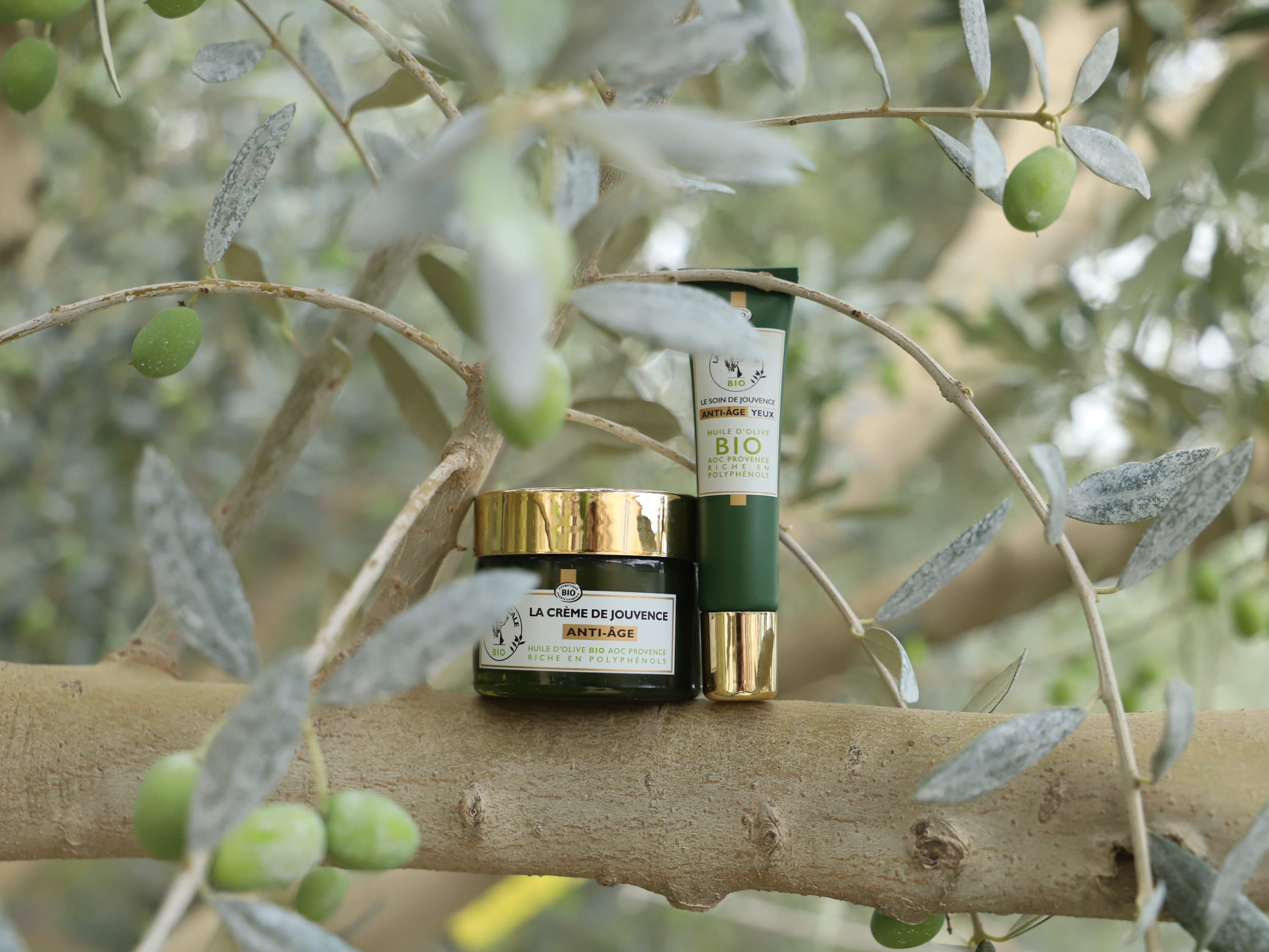 Reminder: lancering La Provençale Bio