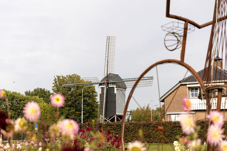 Van Gogh Wandelroute Zundert @ Pierre van Damme 