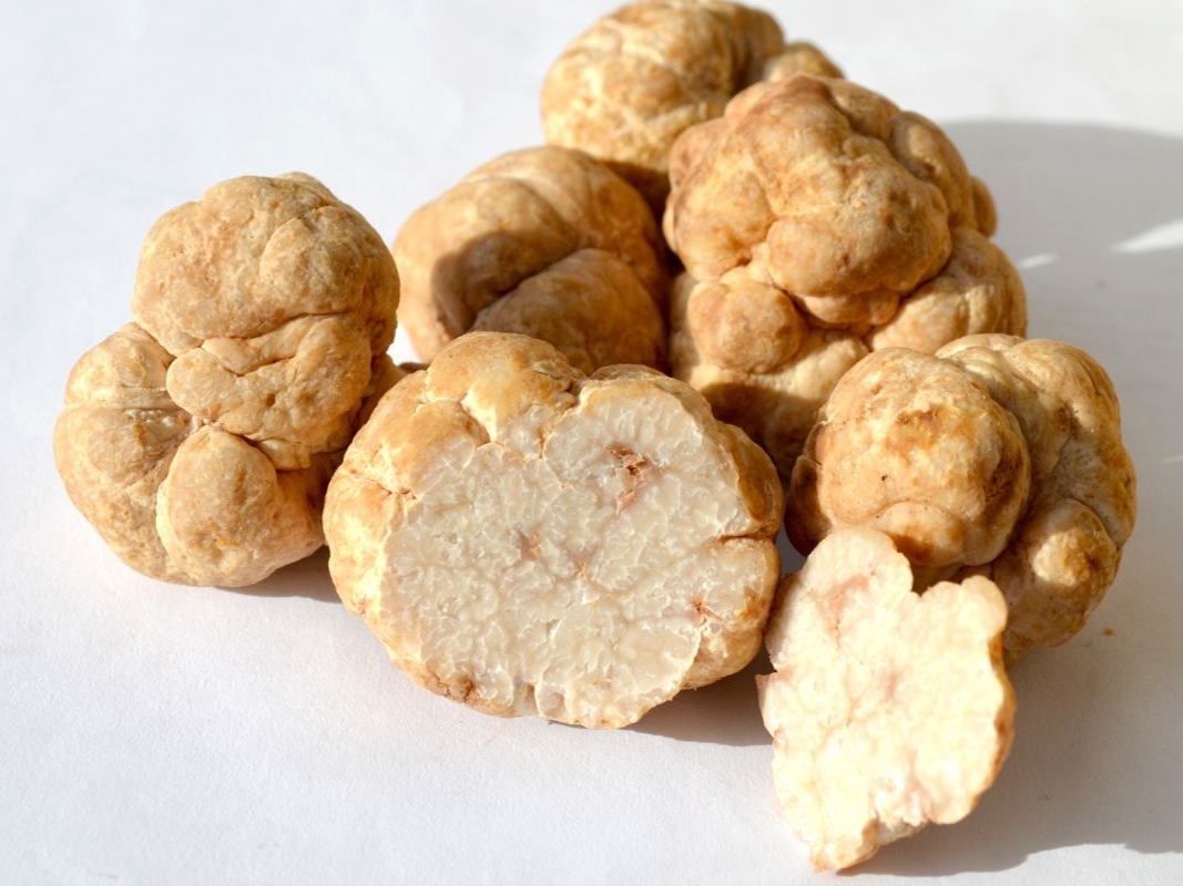MycoTechnology’s Honey Truffle Sweetener Achieves New Technical and Safety Milestones on Accelerated Path to Market