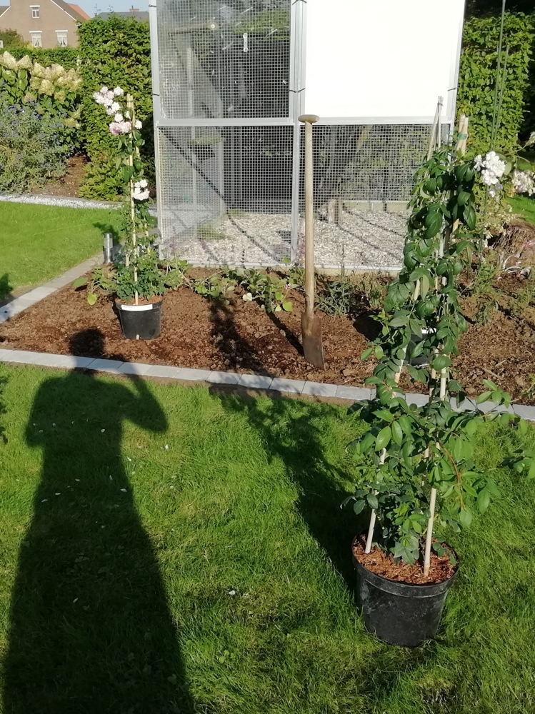 Sabine De Mulder heeft groene vingers en een neus voor fotografie.