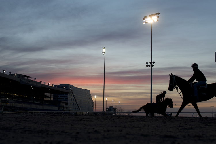The sun rises during morning training at Woodbine Racetrack April 2024 (Michael Burns Photo)