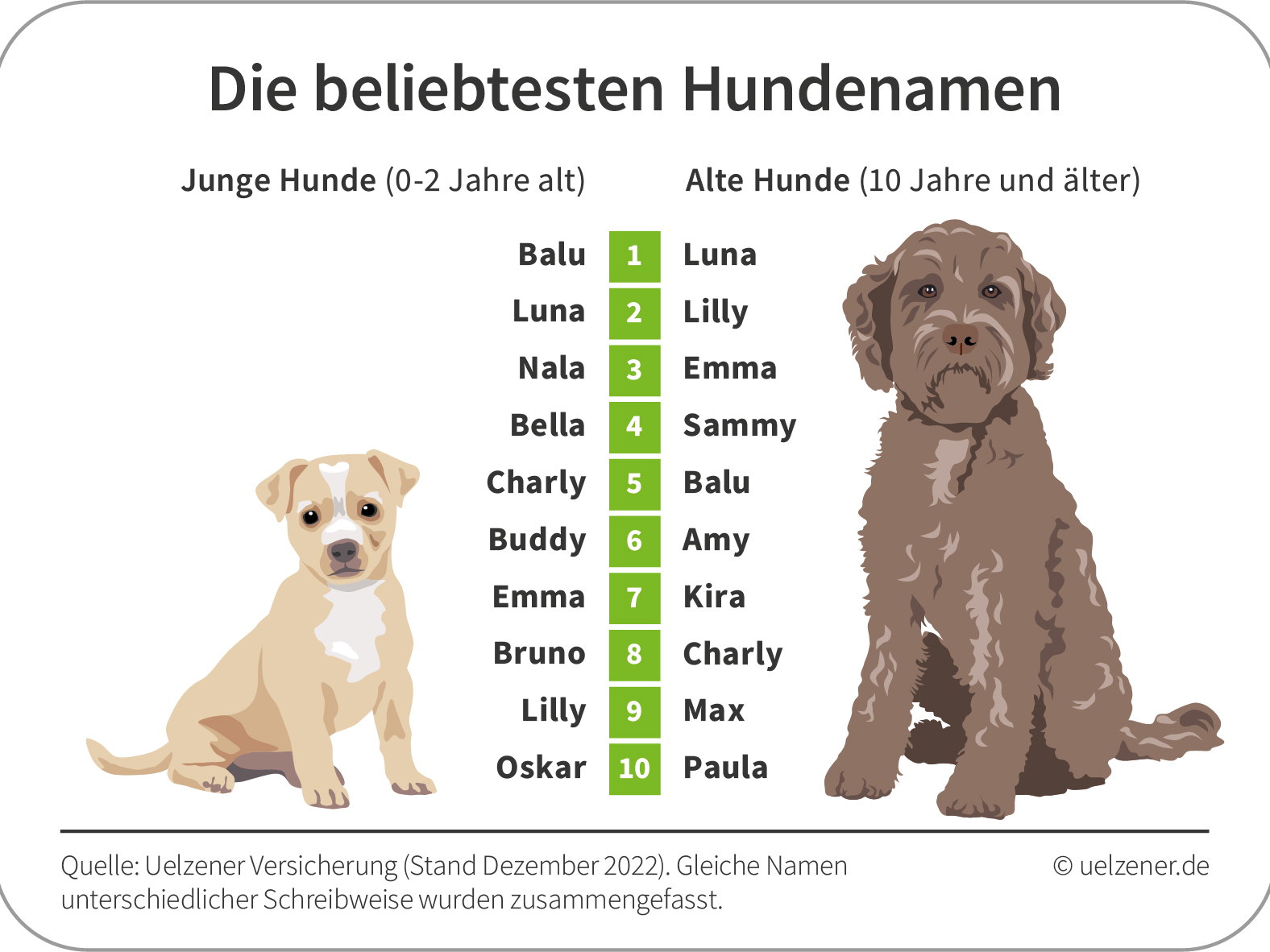 Luna ist der beliebteste Hundename
