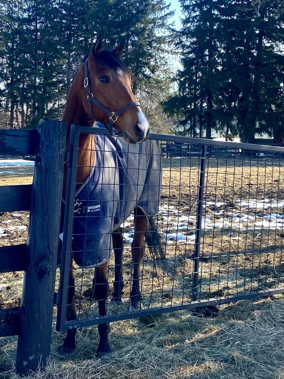 Belentime at LongRun
